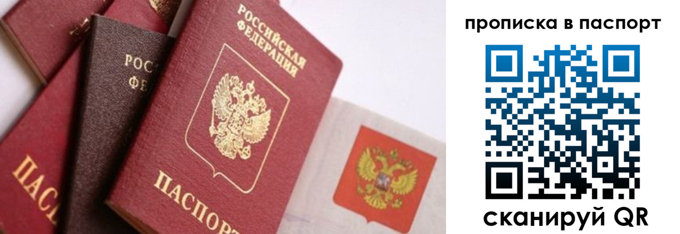 регистрация для школы в Покрове
