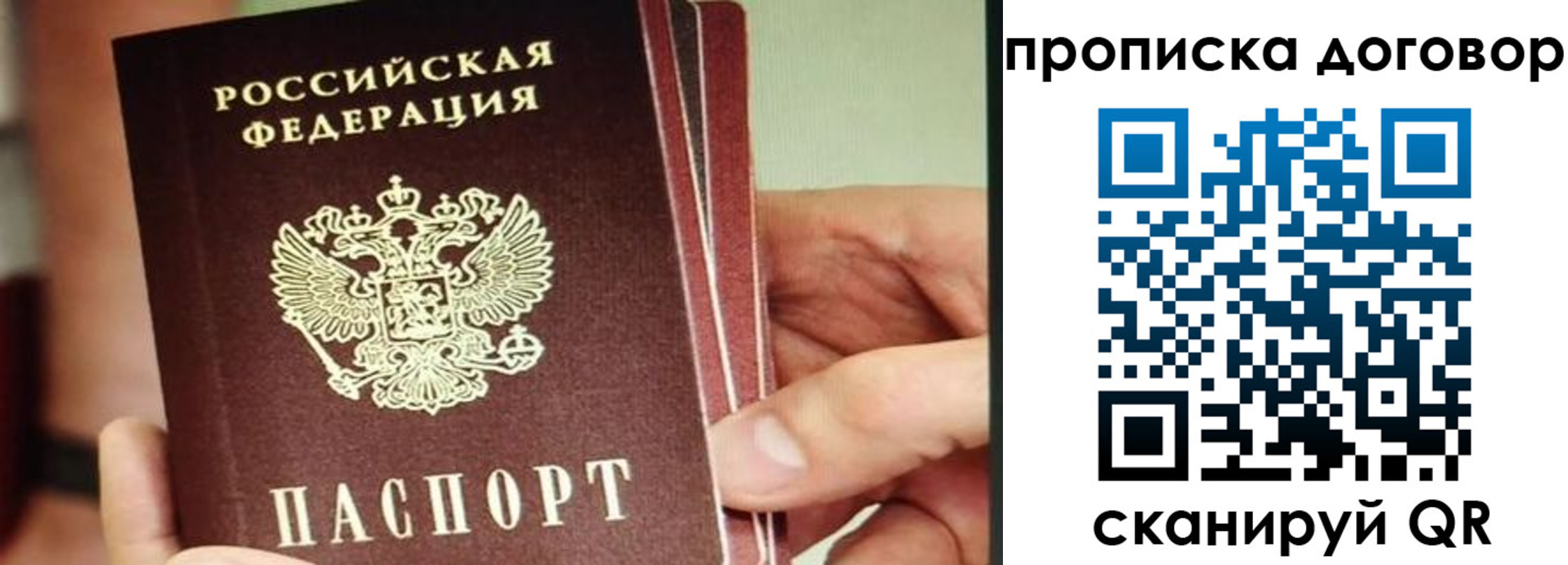 прописка в Покрове