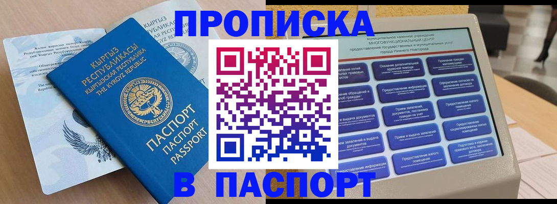 регистрация в Покрове